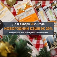 Новогодний кэшбэк и режим работы интернет-магазина в праздники Новогодний кэшбэк и режим работы интернет-магазина в праздники